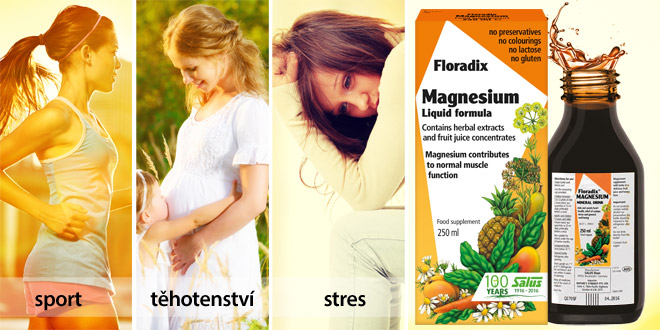 Magnesium Floradix Horčík Magnesium Floradix Horčík